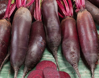Cylindra Beet Seeds