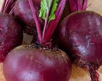 Ruby Queen Beet seeds