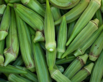 Okra Dwarf Long Pod Green Seeds