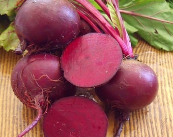 Detroit Dark Beet Seeds
