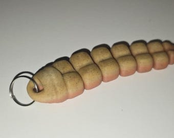 Coda di serpente a sonagli stampata in 3D