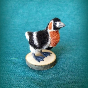 Könnte beinhalten: Handgefertigte Vogelfigur mit schwarzem, weißem und orangefarbenem Körper, platziert auf einem kleinen Holzsockel. Der Vogel hat einen grauen Schnabel und blaue Füße. Der Hintergrund ist türkis.