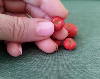 Miniature  Tomato 1:6 Miniature Realistic Vegetables Food for Dolls Dollhouse