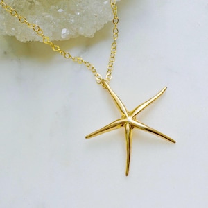 Gouden zeesterketting: vermeil schelpbedel, 14k goldfill-ketting