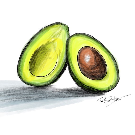 Avocado art drawing Etsy