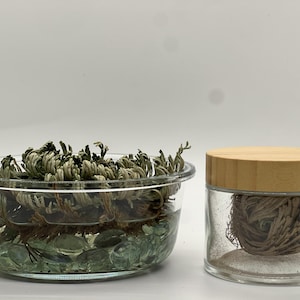 Esoteric Earth Angel Rose of Jericho (Resurrection Plant)