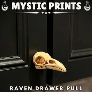 May include: Raven drawer pull made of bone-colored material, mounted on a black cabinet door. The drawer pull is in the shape of a raven skull. The text "MYSTIC PRINTS" and "RAVEN DRAWER PULL" are displayed.