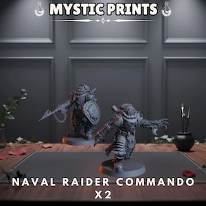May include: Two gray Naval Raider Commando figurines with detailed armor, weapons, and shields. The figures stand on circular bases, with the text "NAVAL RAIDER COMMANDO X2" below. The image also features the text "MYSTIC PRINTS" at the top.