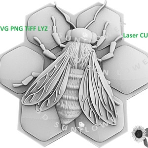 May include: A detailed 3D model of a bee on a honeycomb, rendered in a white and grey colour scheme. The bee has intricate details on its wings and body. The honeycomb is made up of hexagonal cells. The image is labelled "Laser Cut" and "SVG PNG TIFF LYZ".