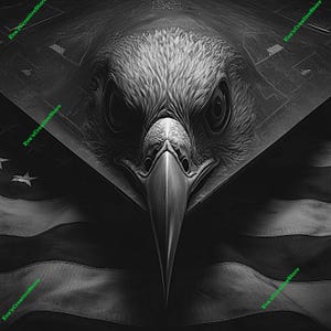 Eagle Patriotic Flag Laser Ready Png JPEG Bmp Files Glowforge Engraver for CNC & Lase Burn Cut Digital Design for Wood Acrylic and more