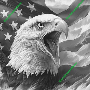 Eagle Patriotic Flag Laser Ready Png JPEG Bmp Files Glowforge Engraver for CNC & Lase Burn Cut Digital Design for Wood Acrylic and more