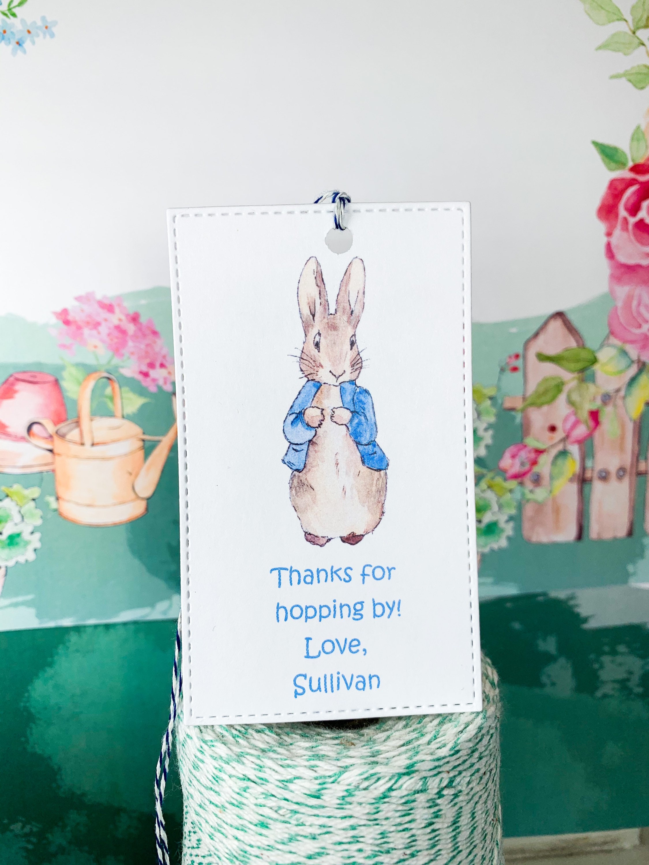 Peter Rabbit Birthday Gift Tags/birthday Favor Tags/beatrix Potter/set ...