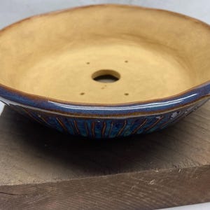 May include: A blue and brown glazed ceramic bonsai pot with a drainage hole in the center. The pot has a wide, shallow shape and a textured exterior.