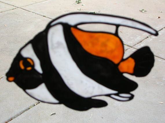 3 One Of Each Banner Fish Copper Banded Butterfly Fish And Etsy
