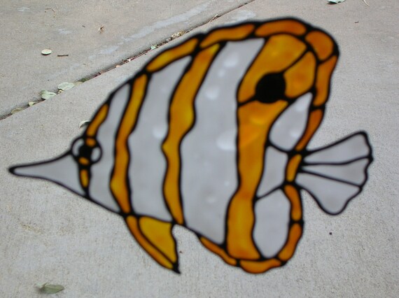 3 One Of Each Banner Fish Copper Banded Butterfly Fish And Etsy