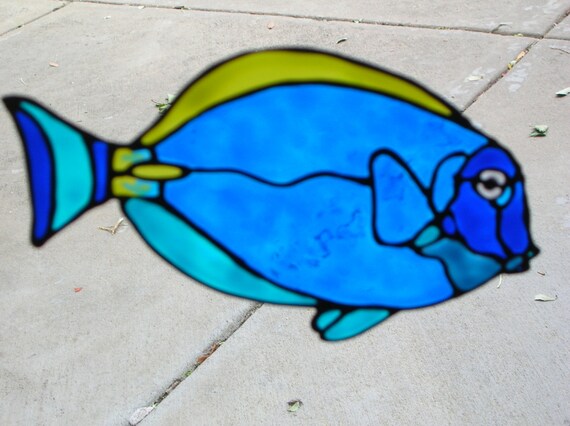 3 One Of Each Banner Fish Copper Banded Butterfly Fish And Etsy
