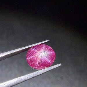 Peut inclure: Une pierre précieuse ronde taillée en cabochon, d'une teinte magenta et rose profond, présentant un effet d'étoile à six branches visible sur sa surface. La pierre est tenue par une pince en métal argenté, soulignant sa texture translucide.