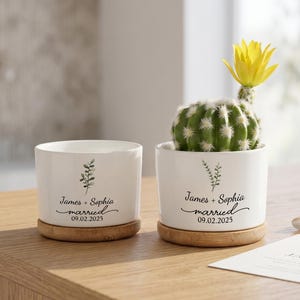 decorative succulent pots PS1_07 Gray Marble Succulent Planter, Stone Miniature Plant Holder, Small Pot