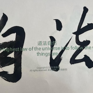 May include: Calligraphy art with bold black brushstrokes on a white background. The image features Chinese characters and English text: "The highest law of the universe is to follow the way things are."