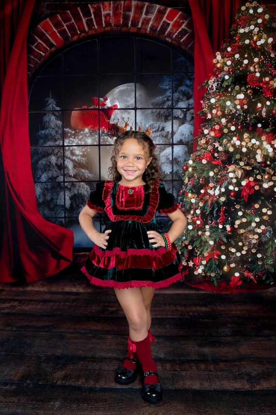 festive winter dress Cute Embroidery Baby Girl Winter Puffy Dress Toddler Birthday Christmas Princess Dress, Red / 2-3 Years (100cm) main image 0