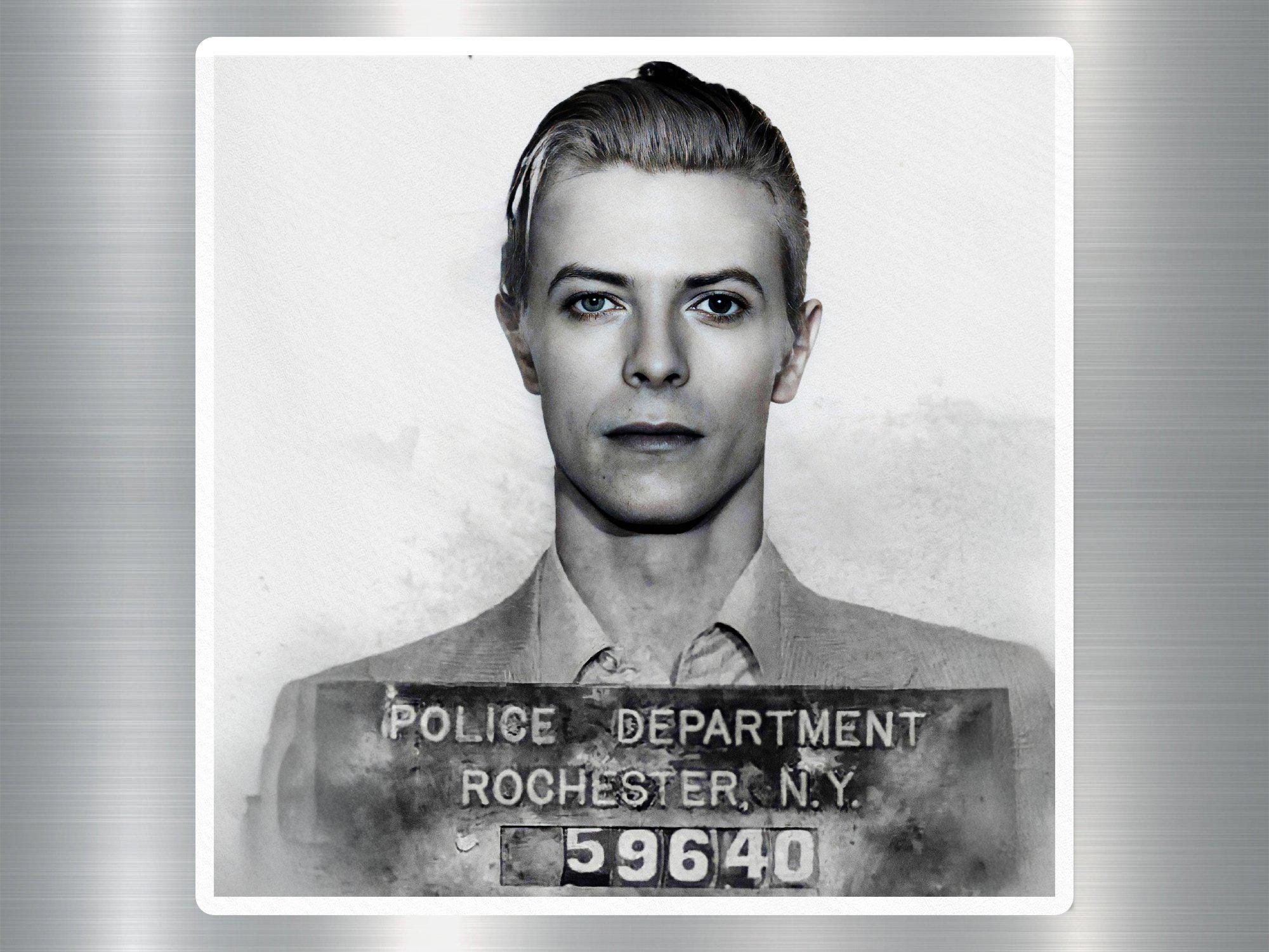 David Bowie, Mugshot, Magnet, 1976, NY Arrest, Rock Icon, Vintage, Collectible, Music Legend, Fridge Magnet, Gift