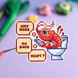 Why Does My Back Hurt? Shrimp Vinyl Sticker | Funny, Waterproof Decal, Journal, Water Bottle, Phone, Laptop Sticker