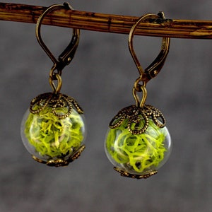 May include: A pair of gold-toned earrings with a glass orb containing preserved green moss. The orbs are attached to a delicate filigree design.