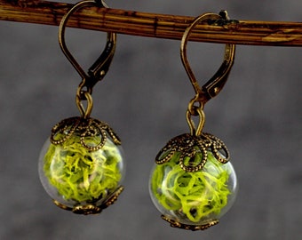 May include: A pair of gold-toned earrings with a glass orb containing preserved green moss. The orbs are attached to a delicate filigree design.