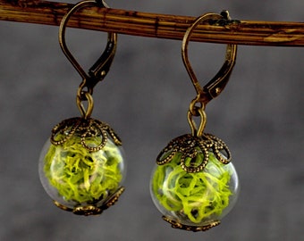 Iceland Green Moss Earrings in Glass Sphere Dangle Drop Vintage Brass Earrings Real Natural Plant Greenery Modern Botanical Jewelry