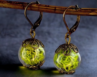 Iceland Green Moss Earrings in Glass Sphere Dangle Drop Vintage Brass Earrings Real Natural Plant Greenery Modern Botanical Jewelry