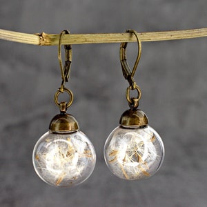 Bronze Real Dandelion Earrings Flower Seed in Glass Ball Lightweight Spring Delicate Jewelry Dangling Pressed Plant Botanical Earrings image 2