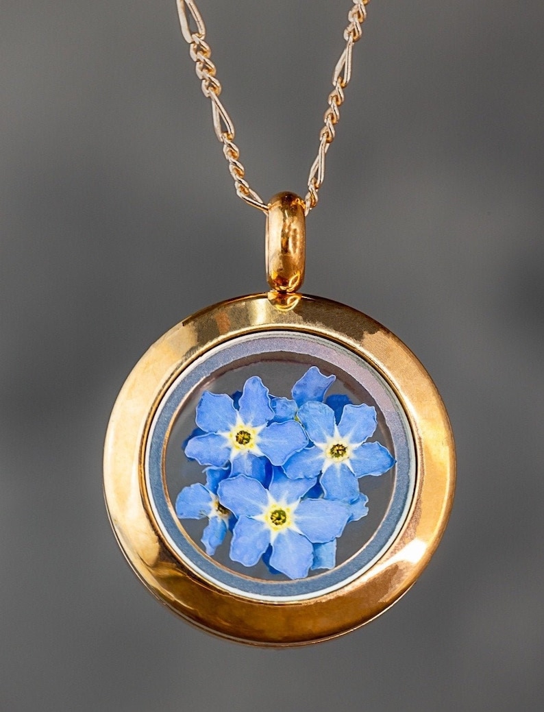 Puede incluir: Un collar con un medall&oacute;n de oro y un inserto de vidrio transparente que contiene un grupo de flores azules de nomeolvides.
