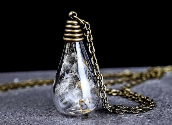 Real Dandelion Dandelion Seed Jewelry Dandelion Seeds In Light