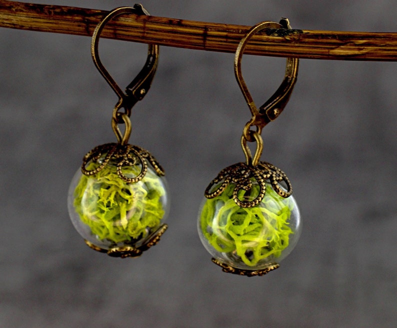 Boucles d'oreilles en mousse verte d'Islande dans une sphère de verre pendantes pendantes Boucles d'oreilles en laiton vintage véritable verdure végétale naturelle, bijoux botaniques modernes image 1