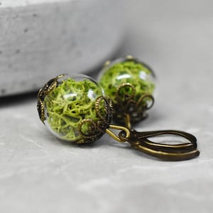 May include: A pair of earrings with green moss encased in glass orbs and antique gold-toned metal accents.