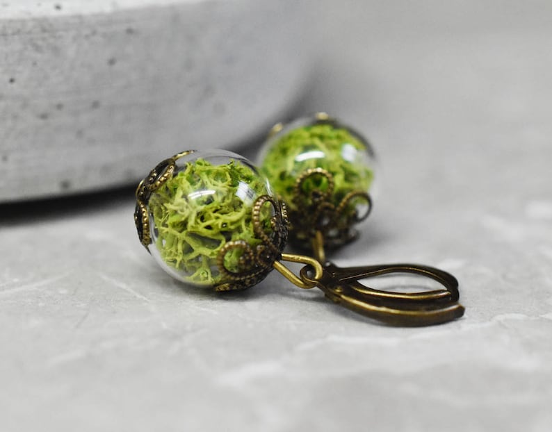 Boucles d'oreilles en mousse verte d'Islande dans une sphère de verre pendantes pendantes Boucles d'oreilles en laiton vintage véritable verdure végétale naturelle, bijoux botaniques modernes image 4