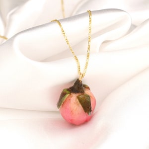 Echte Rose Halskette 925 Sterling Gold Vergoldet Pfirsichfarben Botanische Geschenkidee Bild 5