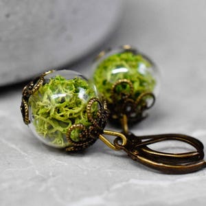 May include: A pair of earrings with green moss encased in glass orbs. The orbs are surrounded by a decorative bronze frame. The earrings have bronze clip-on closures.