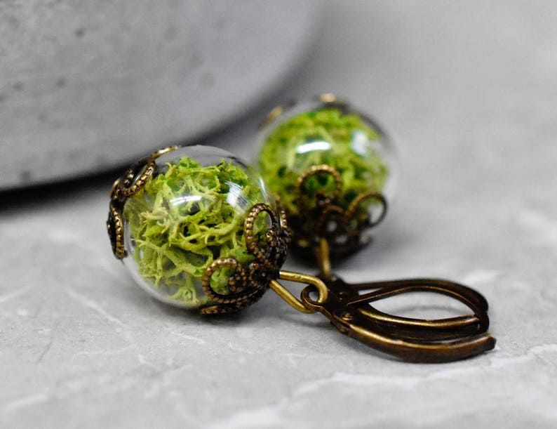 Boucles d'oreilles en mousse verte d'Islande dans une sphère de verre pendantes pendantes Boucles d'oreilles en laiton vintage véritable verdure végétale naturelle, bijoux botaniques modernes image 2