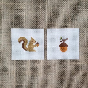 May include: Two square pieces of white Aida fabric featuring cross-stitch embroidery. The left piece displays a tan squirrel with a brown tail holding a small brown acorn. The right piece shows a single brown acorn with a small green stem and leaf.