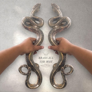 May include: A pair of brass door handles shaped like snakes. The handles are intertwined and have a textured surface. The text "BRASS ALL THE WAY" is printed below the handles.
