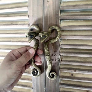 Snake Brass Knob - Angry Snake Drawer - Angry Snake Door Pull - Snake Pulls - Snake Door Handle