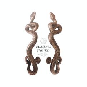 Pu&ograve; includere: Un paio di maniglie per porte decorative a forma di serpente, in ottone. Le maniglie sono in posizione arrotolata, con le teste rivolte verso l'alto. Il testo "BRASS ALL THE WAY" &egrave; visibile nell'immagine.