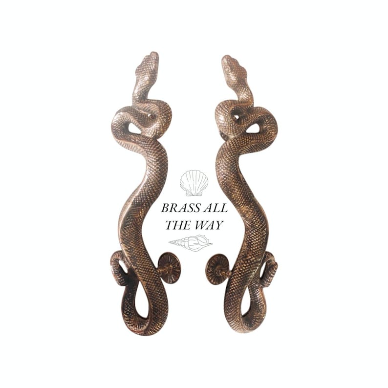 Pu&ograve; includere: Un paio di maniglie per porte decorative a forma di serpente, in ottone. Le maniglie sono in posizione arrotolata, con le teste rivolte verso l'alto. Il testo "BRASS ALL THE WAY" &egrave; visibile nell'immagine.