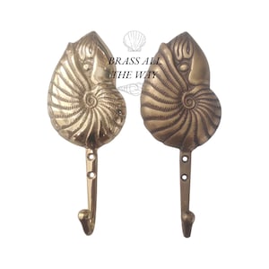 May include: Two brass nautilus shell hooks with a decorative swirl pattern. The hooks are mounted on a white background.