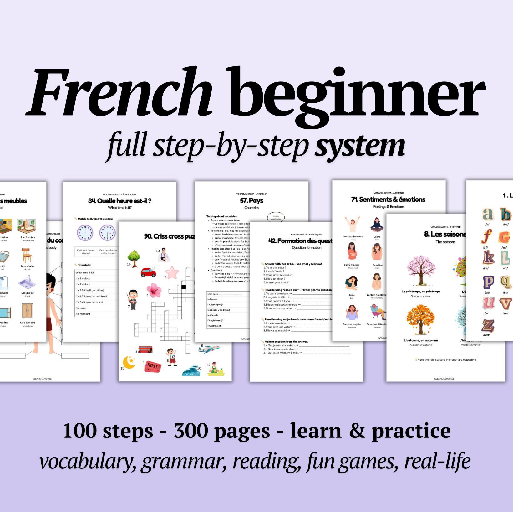 French Beginner Workbook A1-A2 | Self-Study Course - 100 Worksheets | Learn French for Adults | Grammar, Vocabulary, Phrases | eBook + Bonus