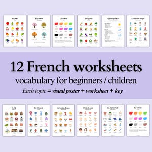 12 French Vocabulary Worksheets | visual posters + practice + key | beginners or children | instant download