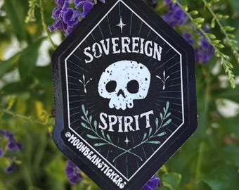 Witchy Sticker Set | Vinyl | Waterproof