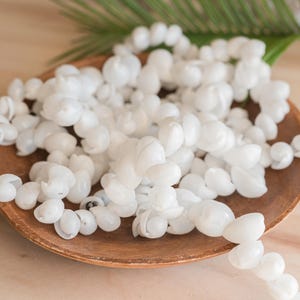 May include: A white shell garland on a wooden plate. The shells are arranged in a spiral pattern and are all the same size and shape.