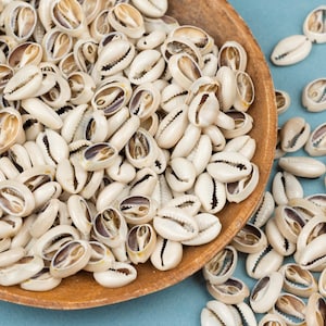 100 African Cowrie Shells: Small to Medium Mixed Size, Sliced for Jewelry and Crafts